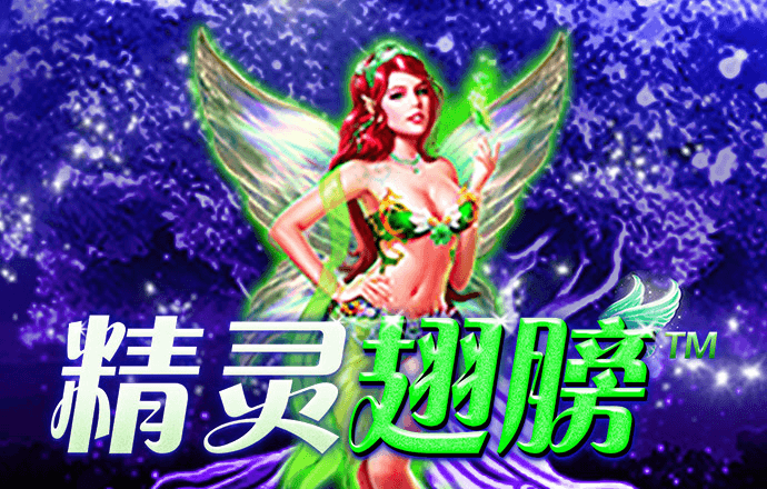 新澳2024年最新版资料